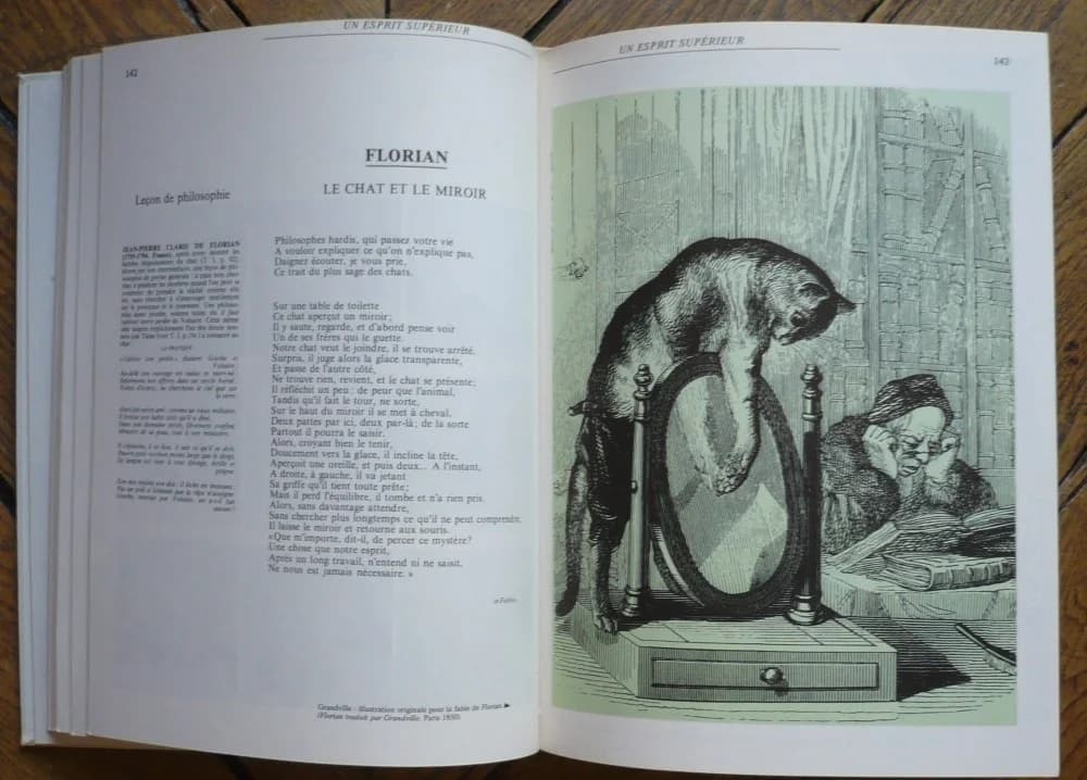 Bibliothèque Illustrée du Chat. 2 Volumes - Image 6