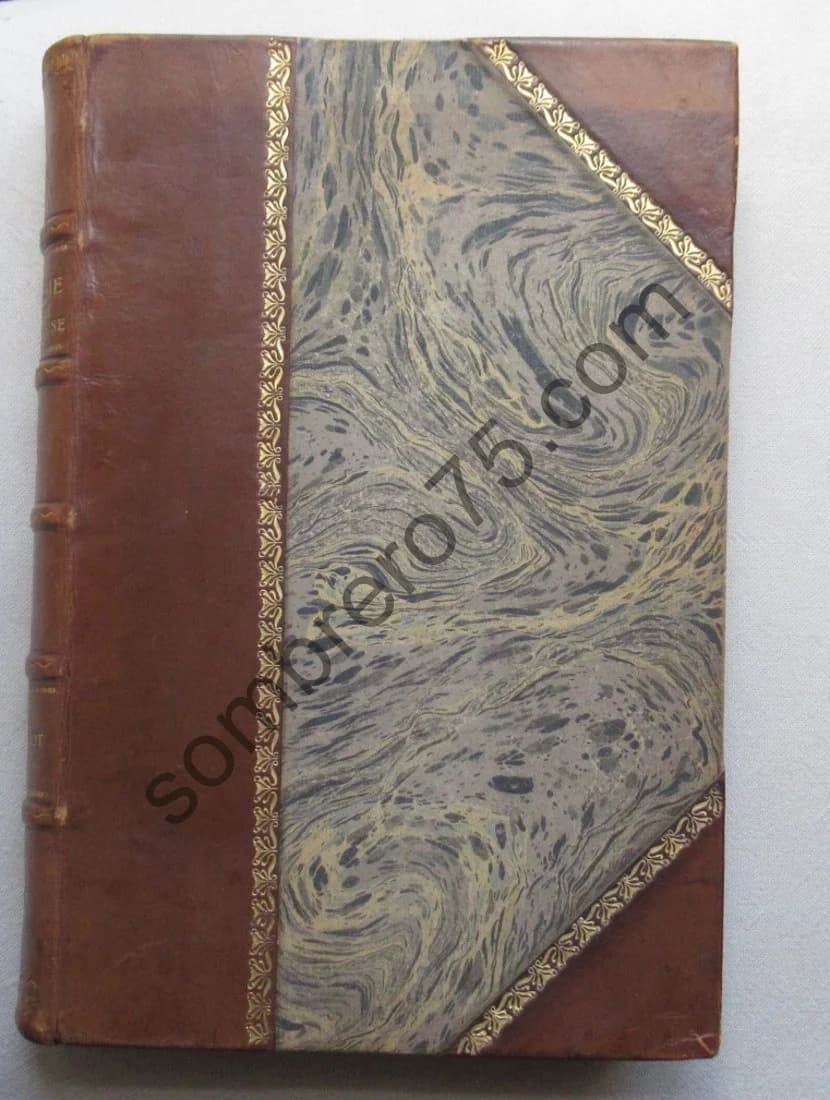 La Lutherie Lorraine et Française depuis ses origines - Image 2