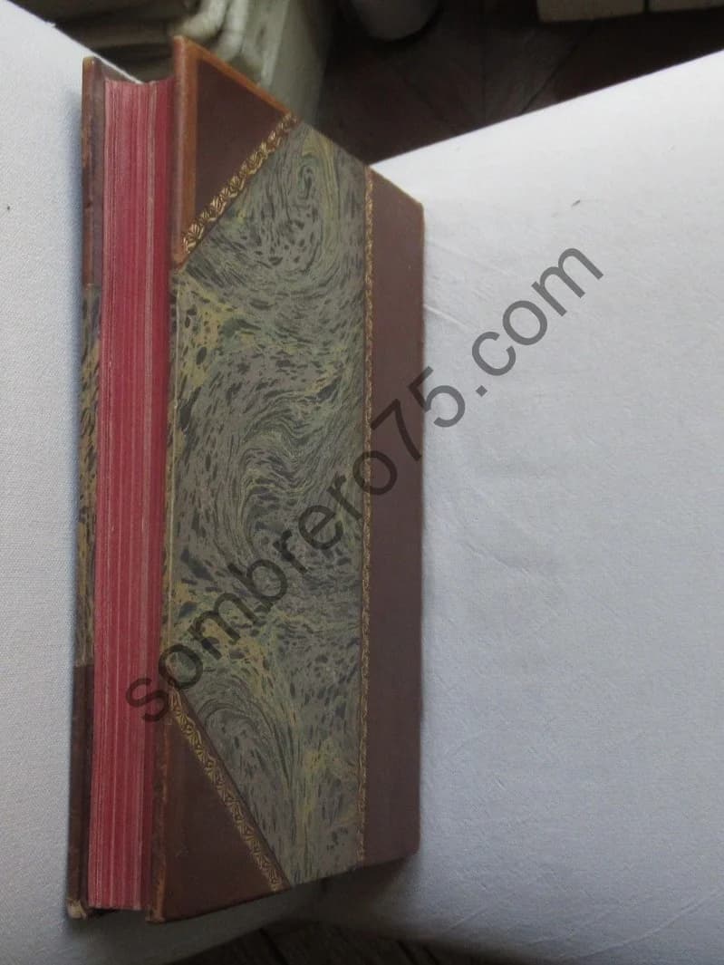 La Lutherie Lorraine et Française depuis ses origines - Image 10