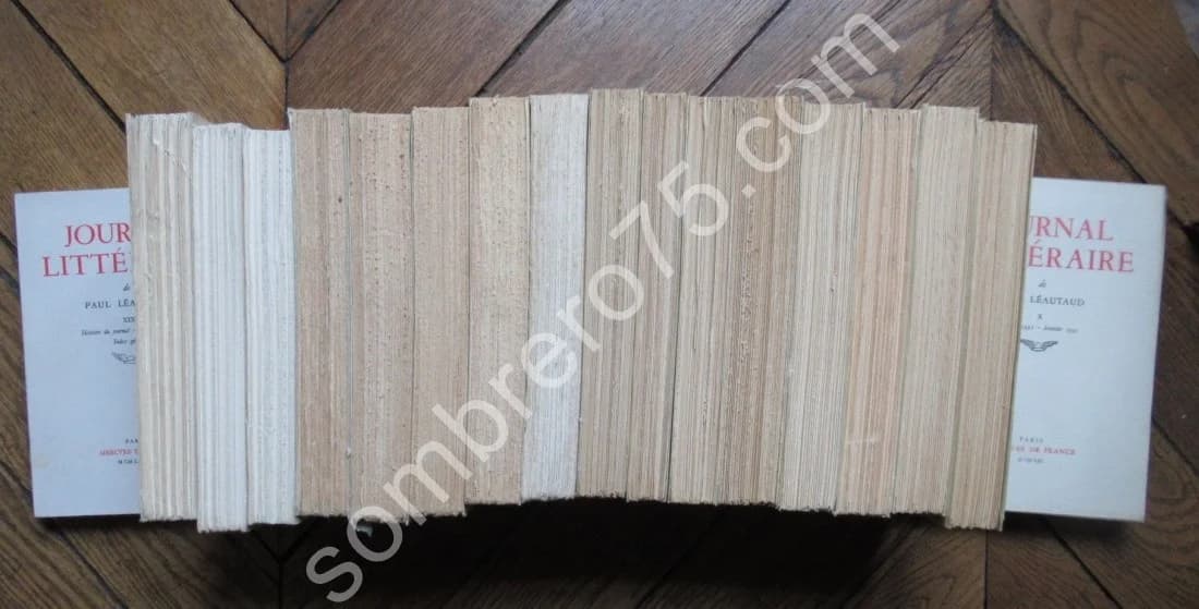Journal Littéraire - Paul Léautaud. 19 vol - Image 4