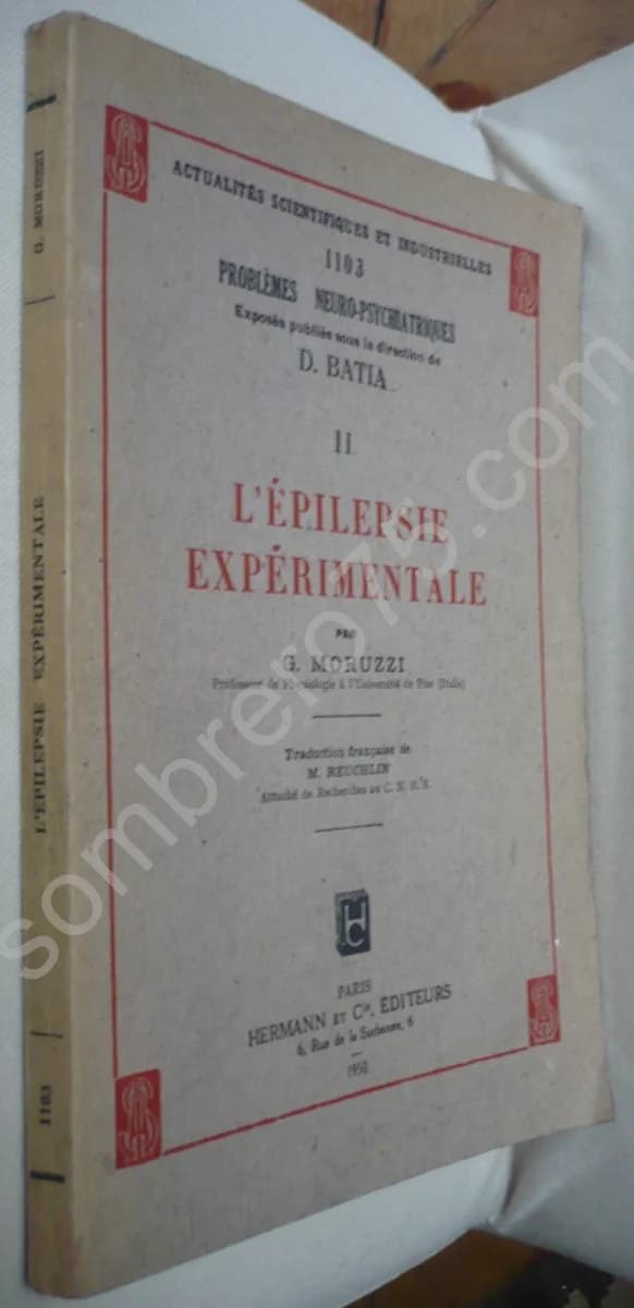 L'Epilepsie Expérimentale