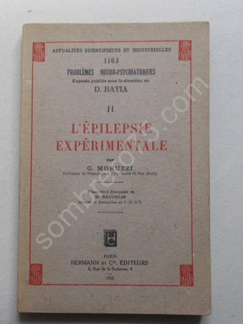 L'Epilepsie Expérimentale - Image 2