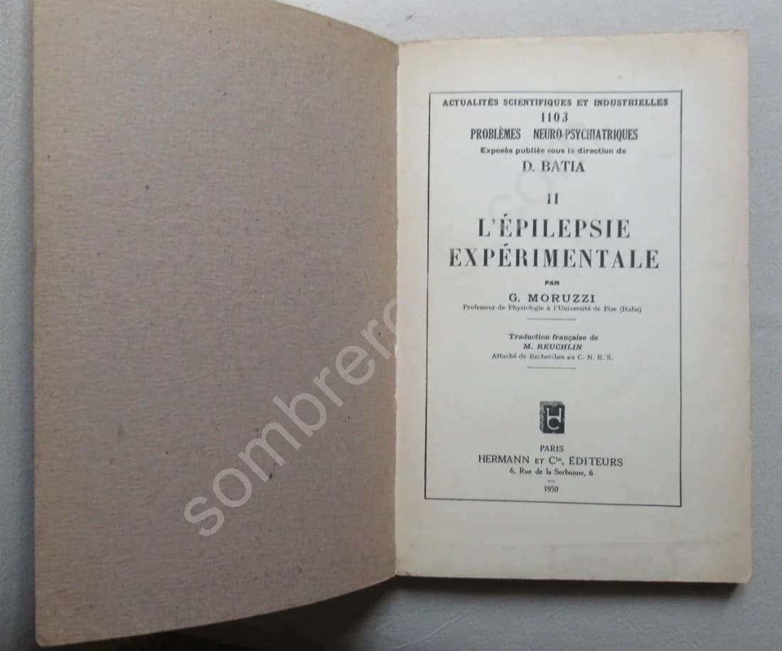 L'Epilepsie Expérimentale - Image 3