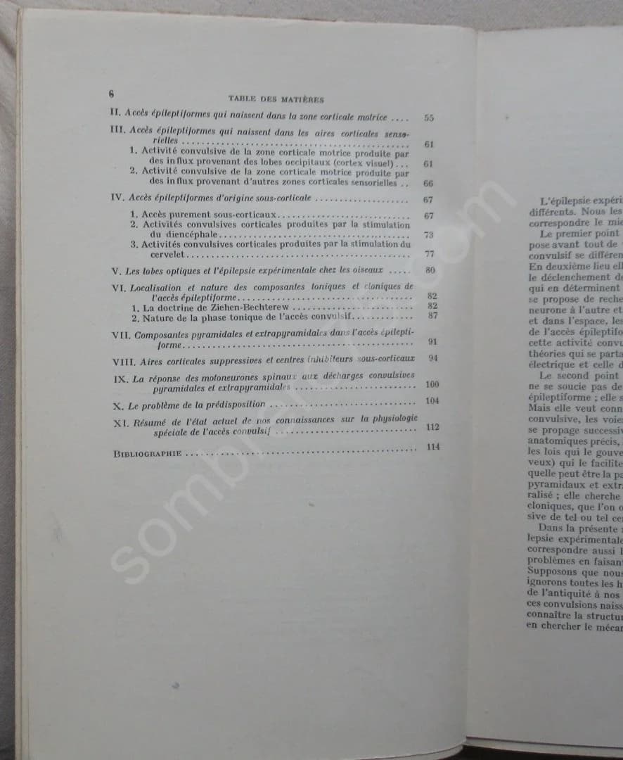 L'Epilepsie Expérimentale - Image 5