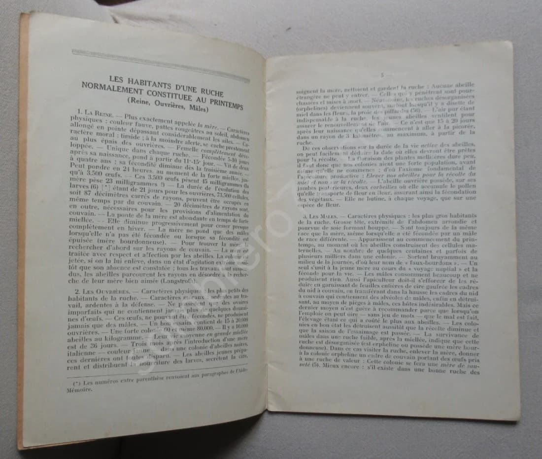 Aide Mémoire de l'Apiculteur. Sté des Apiculteurs Algériens - Image 4