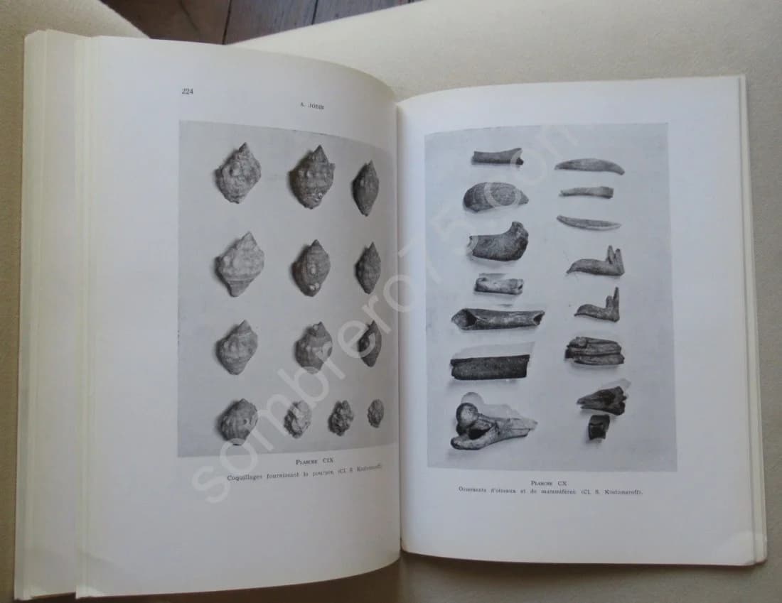 Les Etablissements du Roi Juba II aux Iles Purpuraires (Mogador) A. JODIN - Image 5