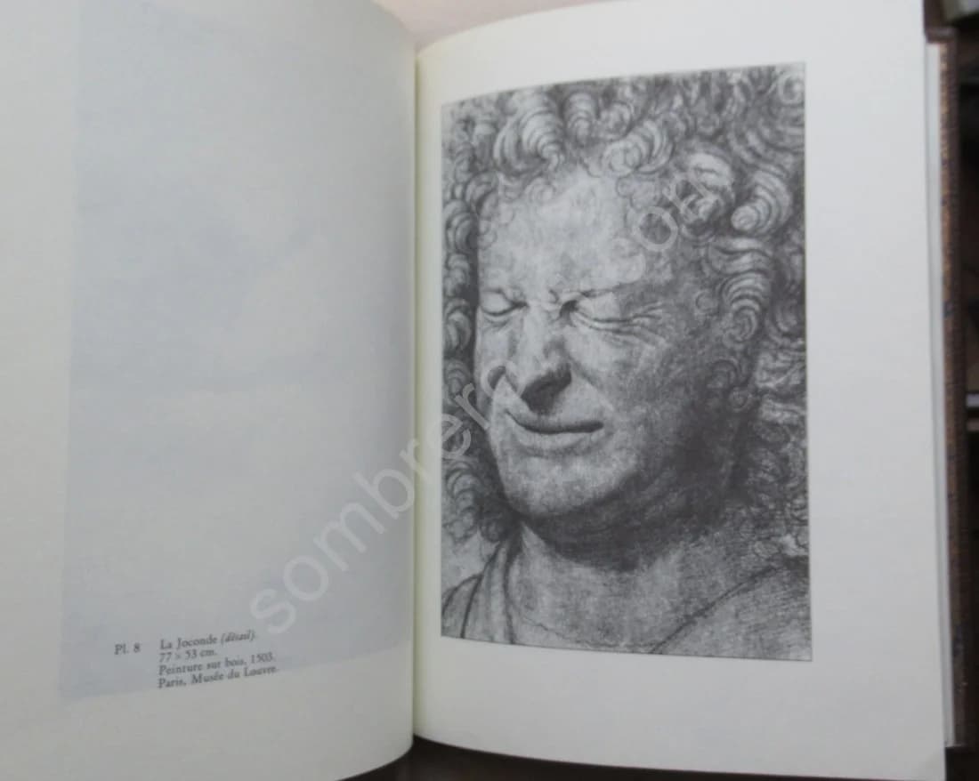 Léonard de Vinci. Le Traité de la Peinture - Image 5