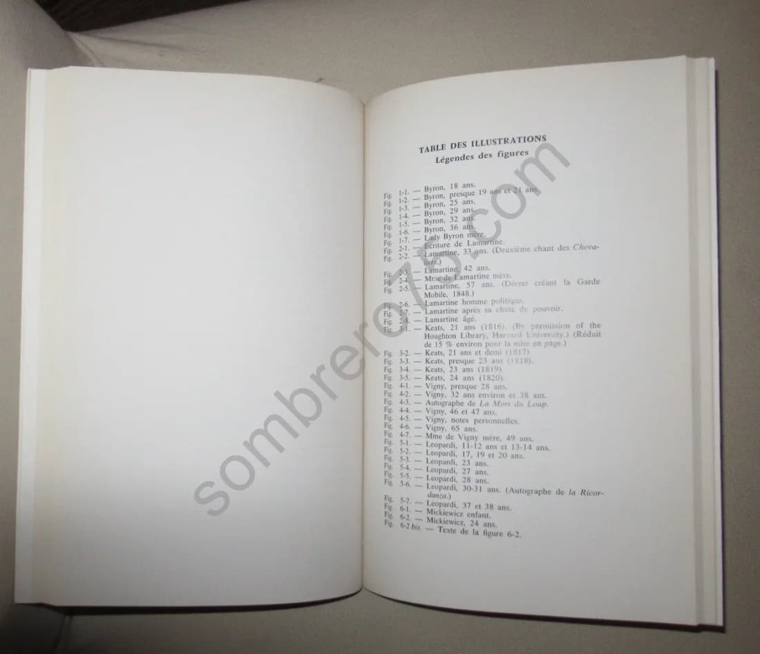 Le Petit Palais - Chef d'Oeuvre de Paris 1900 - Image 7