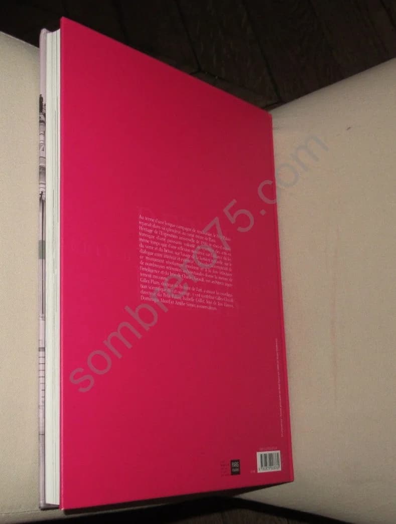 Le Petit Palais - Chef d'Oeuvre de Paris 1900 - Image 8