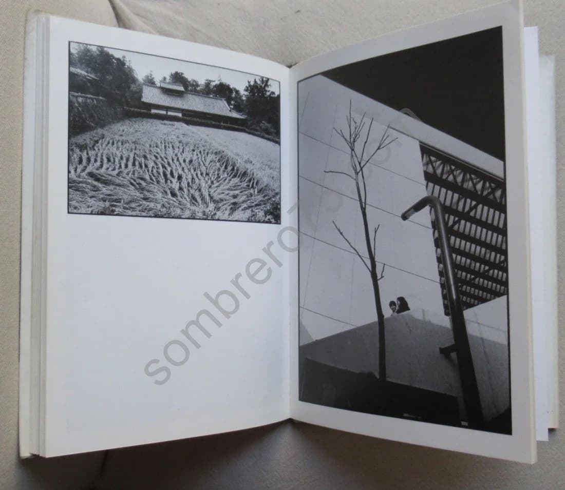 Le Dépays - Image 7