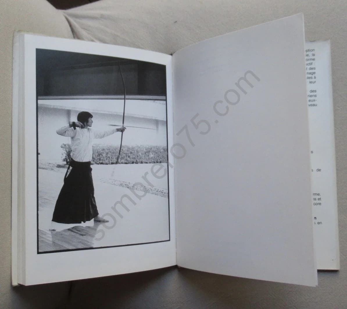 Le Dépays - Image 8