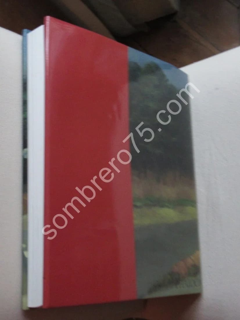 Un Théâtre Silencieux: l'Art d'Edward Hopper - Image 10