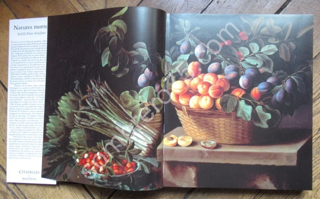 Natures Mortes - Citadelles. Sybille Ebert-Schifferer - Image 6