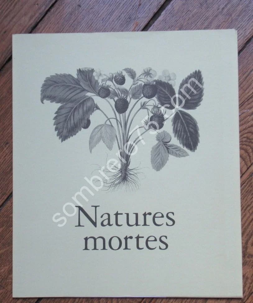 Natures Mortes - Citadelles. Sybille Ebert-Schifferer - Image 10