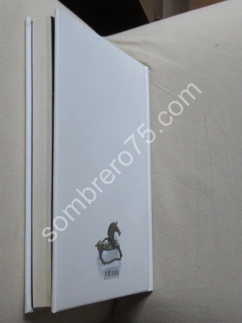 Voyage au Pays des Fibules. Souné Prolongeau Wade - Image 8