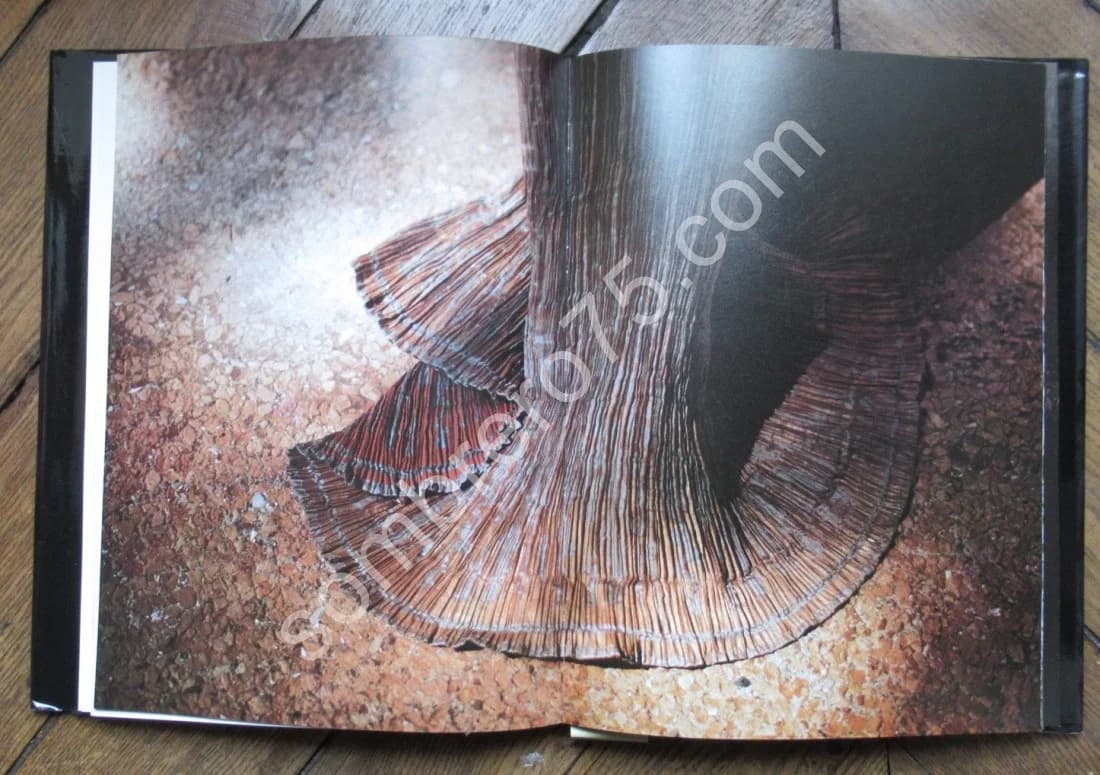 Mariano Fortuny 1871-1949. Un magicien de Venise. A M DESCHODT - Image 6