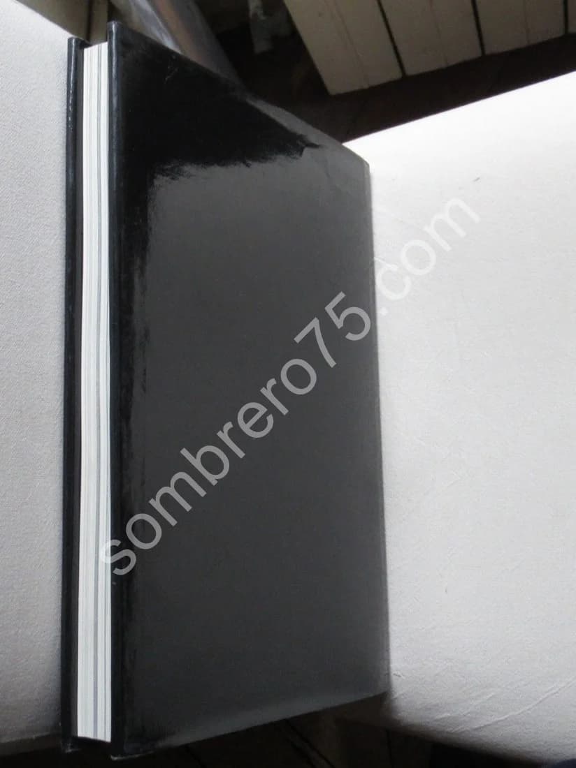 Mariano Fortuny 1871-1949. Un magicien de Venise. A M DESCHODT - Image 10