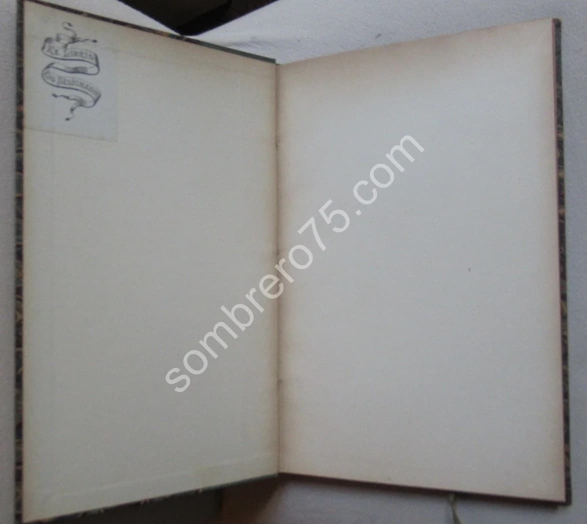 Une Famille de Grands Luthiers Italiens : les Guarnerius. Arthur POUGIN - Image 3