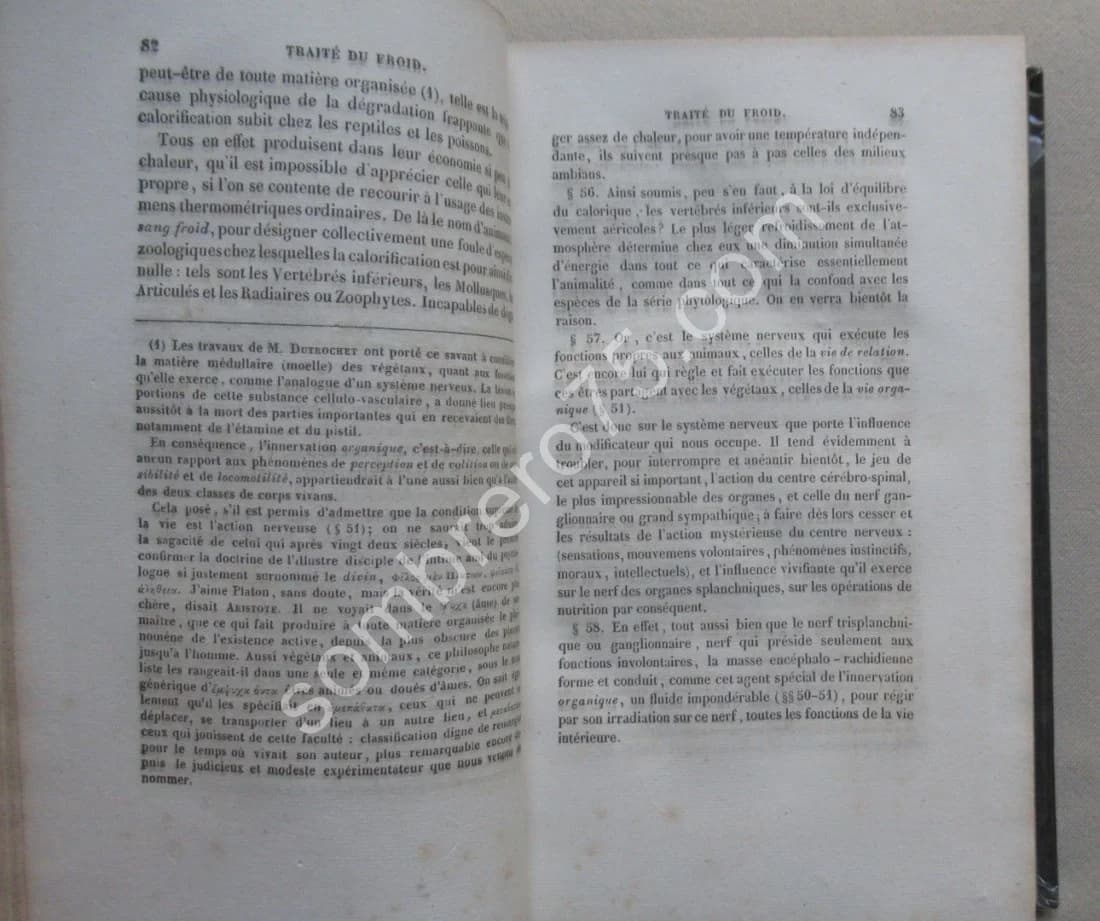 Traité du Froid, de son action et de son emploi. La Phrénologie. 2 vol. en un - Image 6