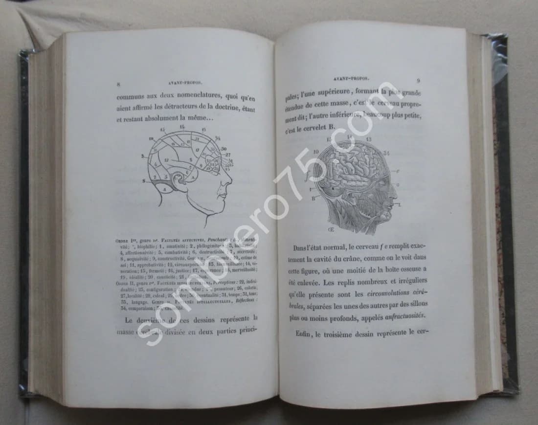 Traité du Froid, de son action et de son emploi. La Phrénologie. 2 vol. en un - Image 9