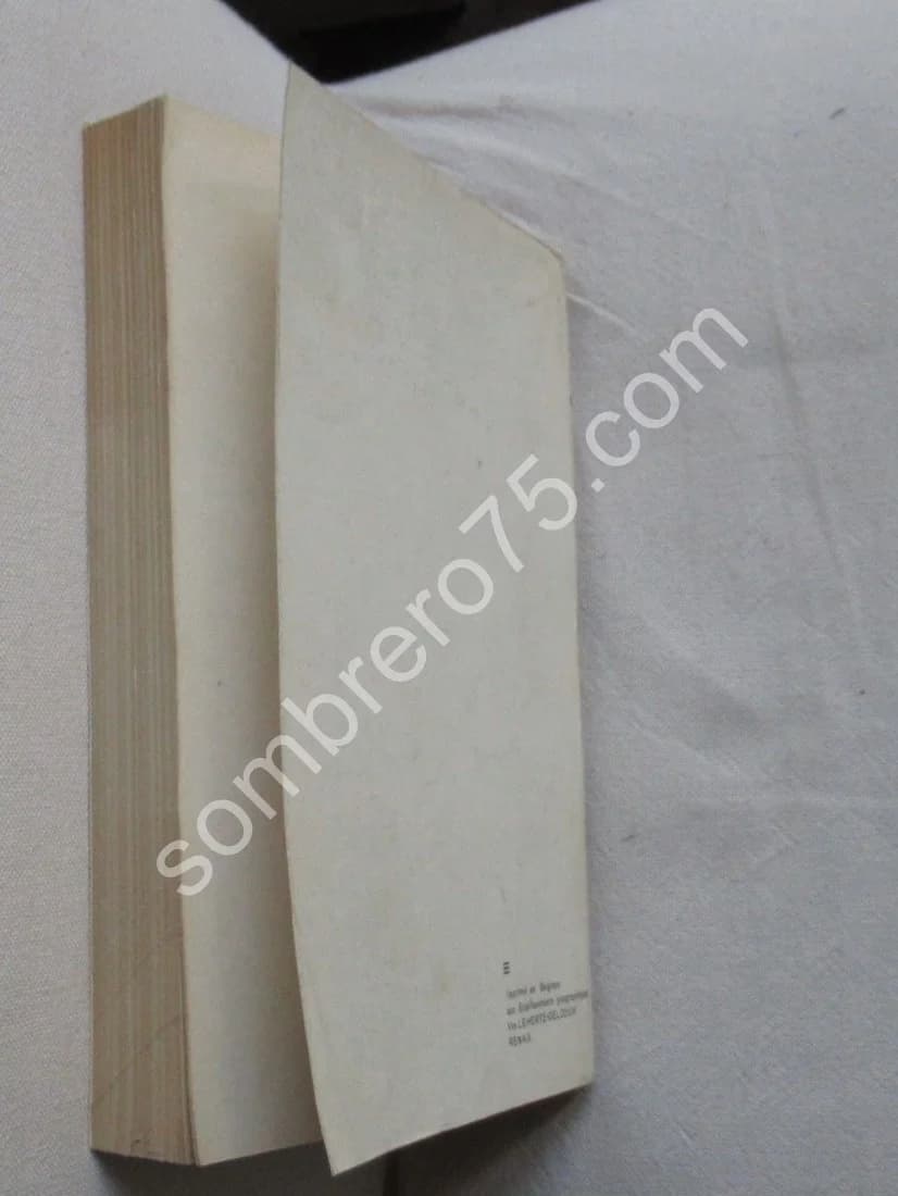 La Descente Frauduleuse et Mélodramatique aux Enfers - Image 5