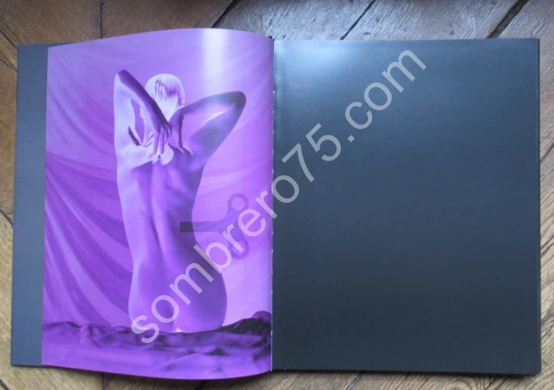 Beauty and other Secrets. Marcel Van der Vlugt - Image 3