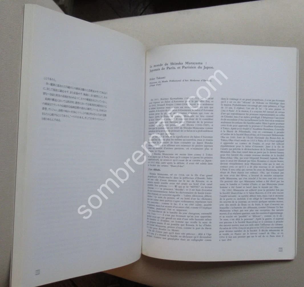 Rétrospective de Shizuka Murayama.1993 - Image 4