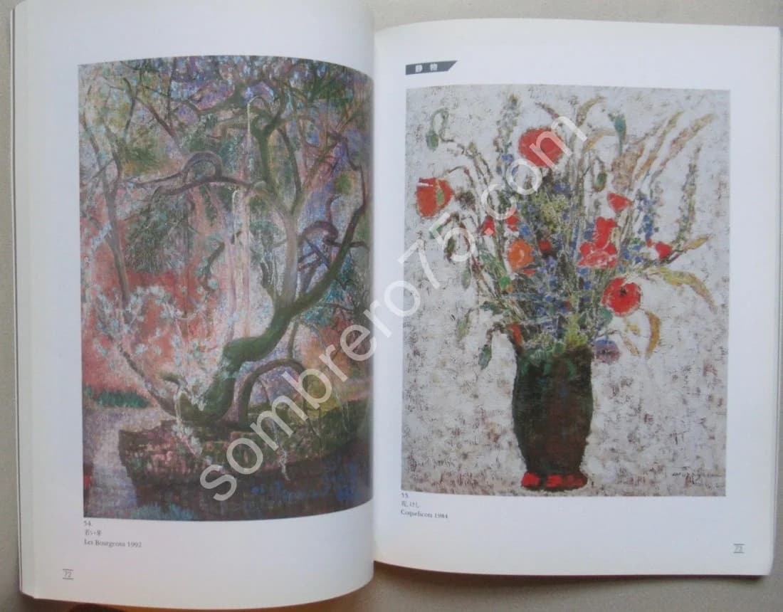 Rétrospective de Shizuka Murayama.1993 - Image 6