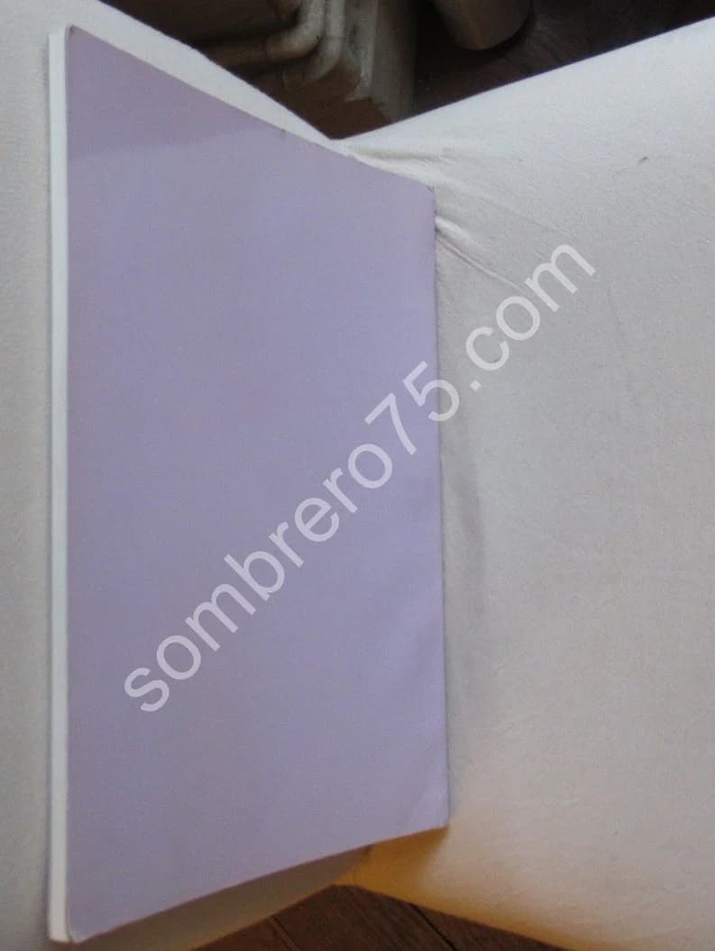 Rétrospective de Shizuka Murayama.1993 - Image 10