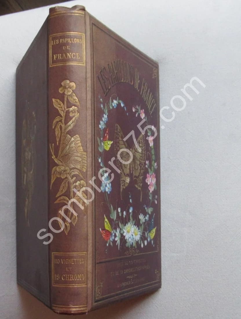 Guide du Jeune Naturaliste. Les Papillons de France. 1880