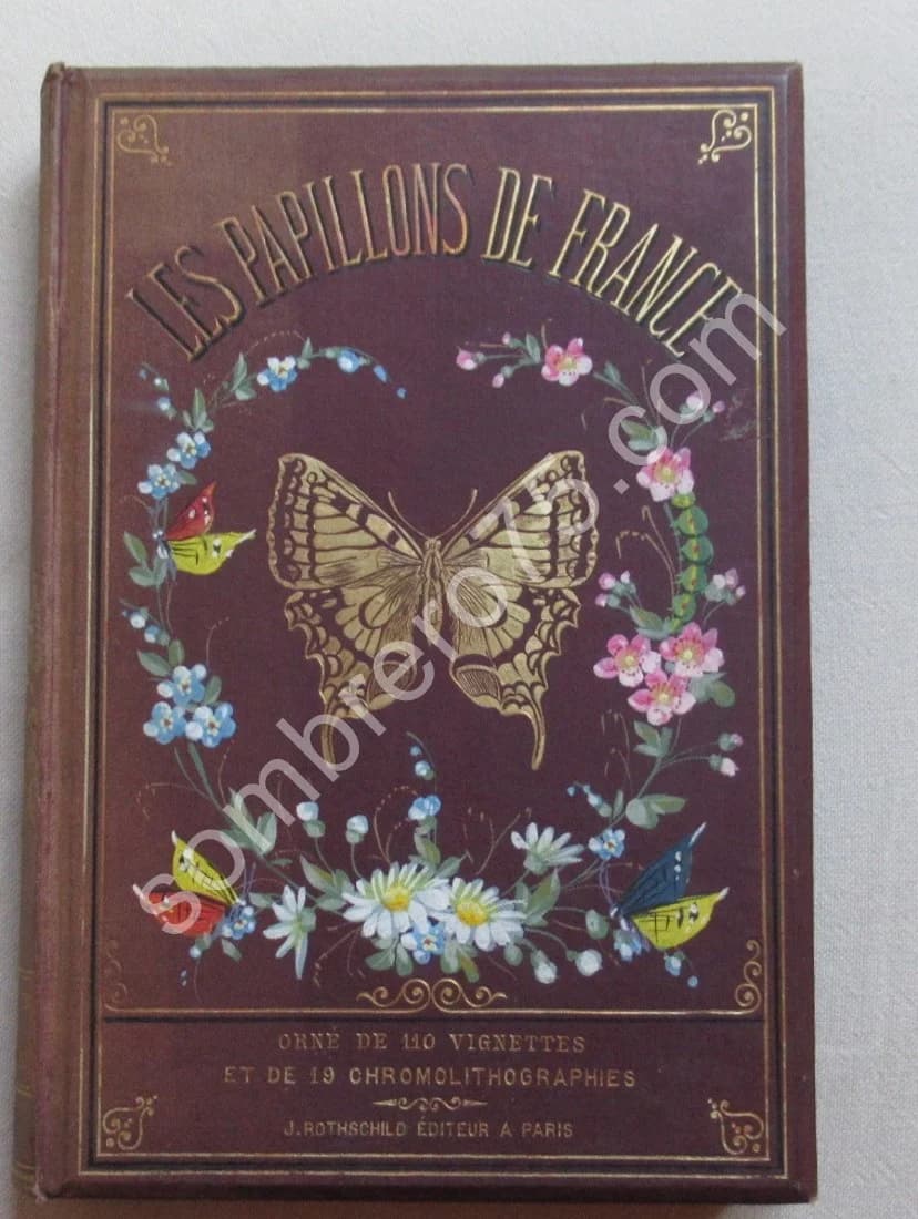 Guide du Jeune Naturaliste. Les Papillons de France. 1880 - Image 2