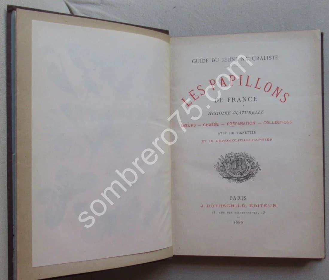 Guide du Jeune Naturaliste. Les Papillons de France. 1880 - Image 4