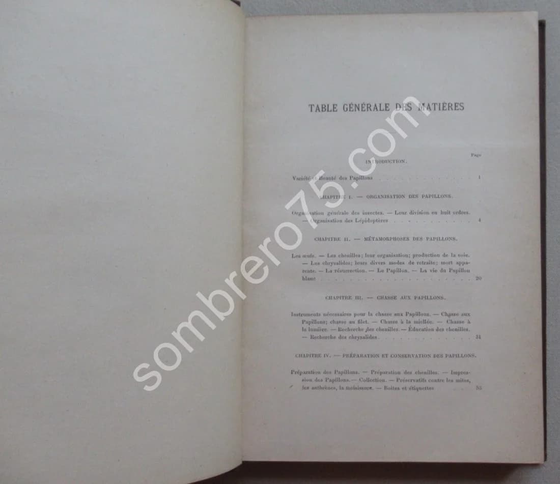 Guide du Jeune Naturaliste. Les Papillons de France. 1880 - Image 5