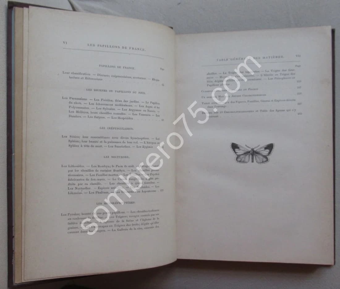 Guide du Jeune Naturaliste. Les Papillons de France. 1880 - Image 6