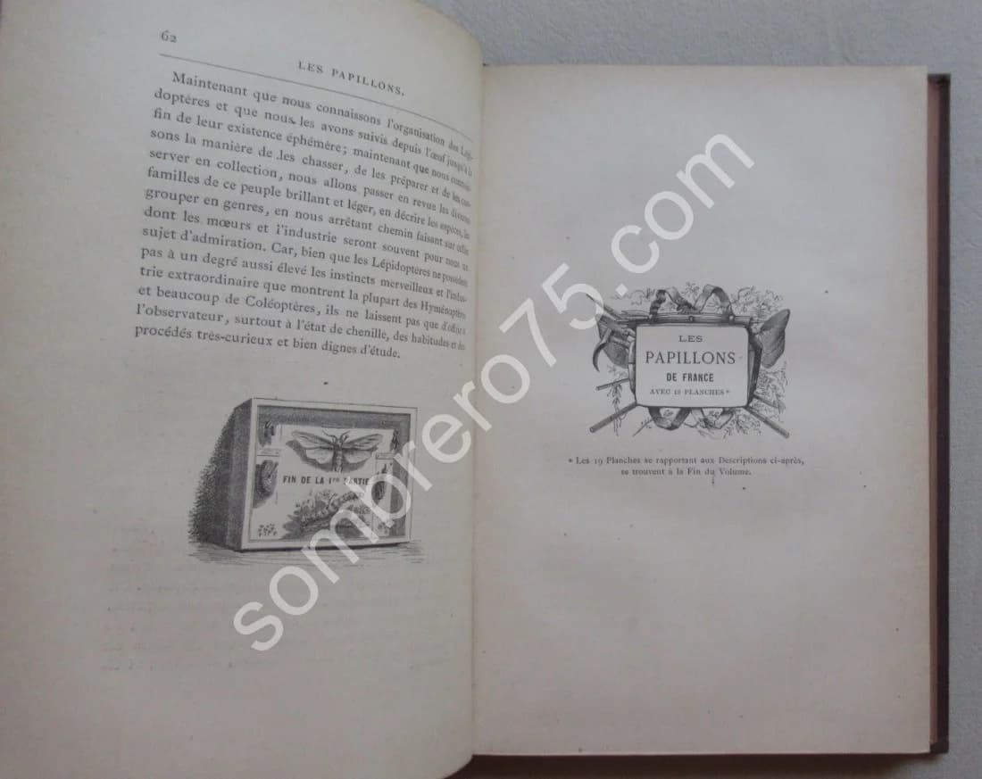 Guide du Jeune Naturaliste. Les Papillons de France. 1880 - Image 8