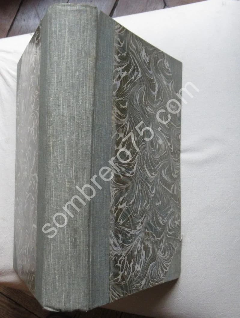 Les Insectes. Iconographie et Histoire Naturelle. Tome 3. 1878