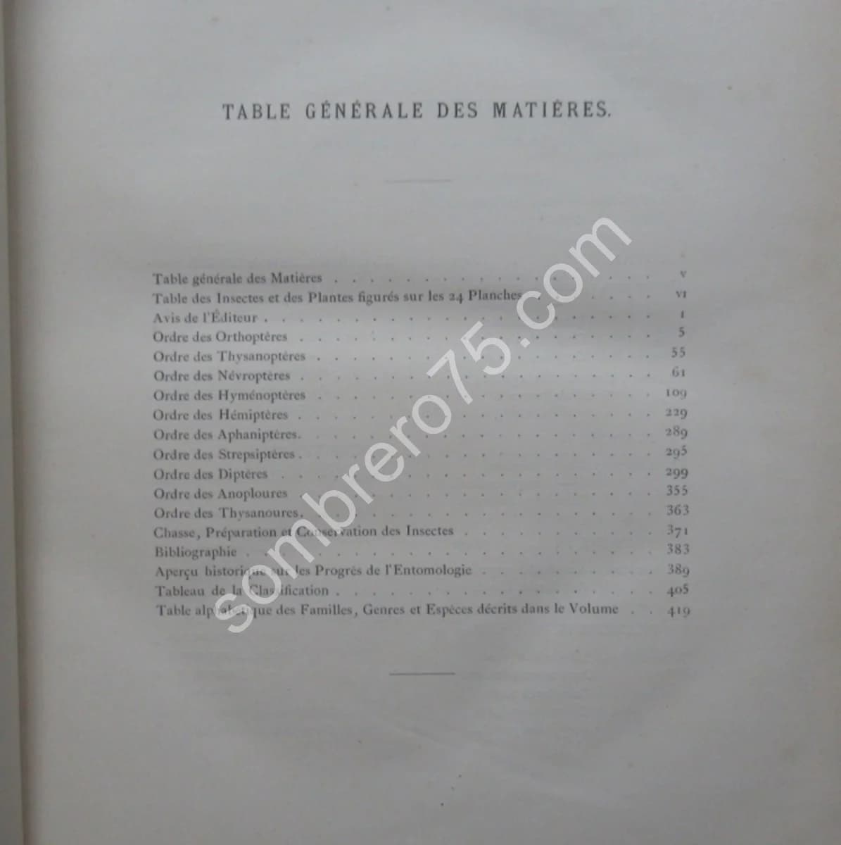 Les Insectes. Iconographie et Histoire Naturelle. Tome 3. 1878 - Image 11