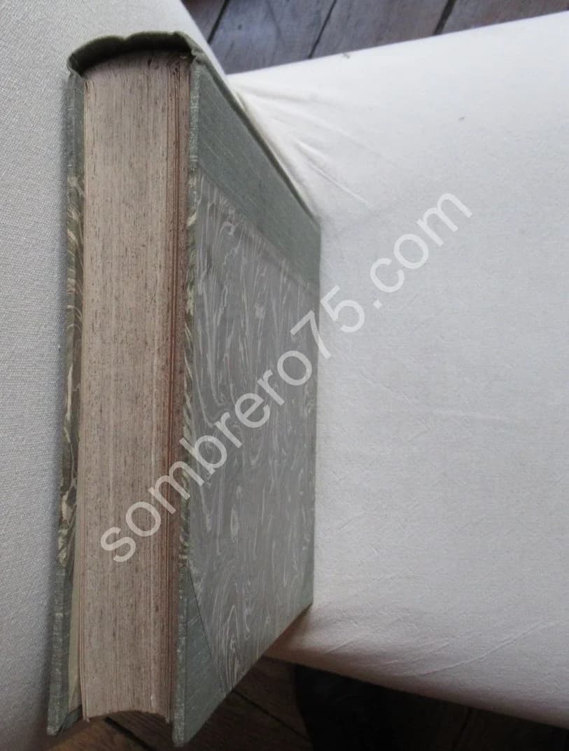 Les Insectes. Iconographie et Histoire Naturelle. Tome 3. 1878 - Image 12