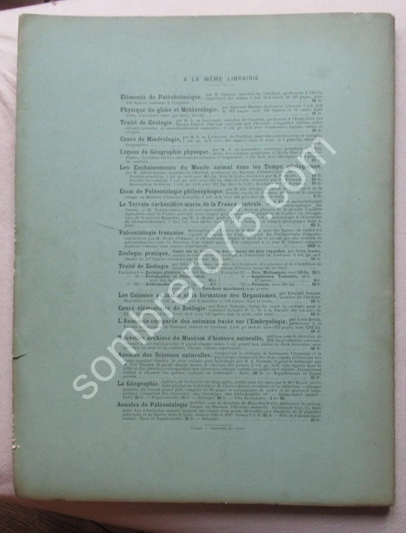 La Montagne Pelée après ses Eruptions. 1908 - Image 7