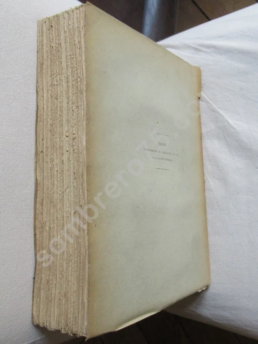 Histoire des Communes annexées à Paris en 1859: Vaugirard - Image 8