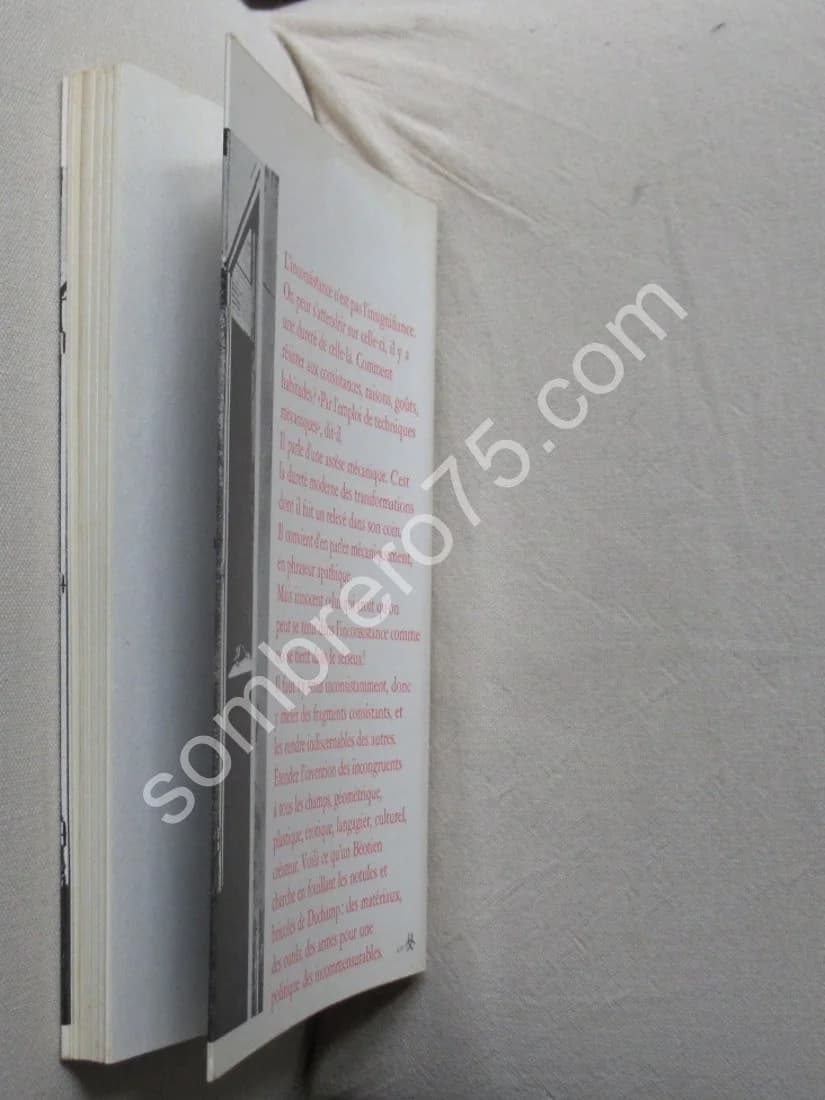 Les TRANS formateurs DUchamp. J F LYOTARD - Image 6