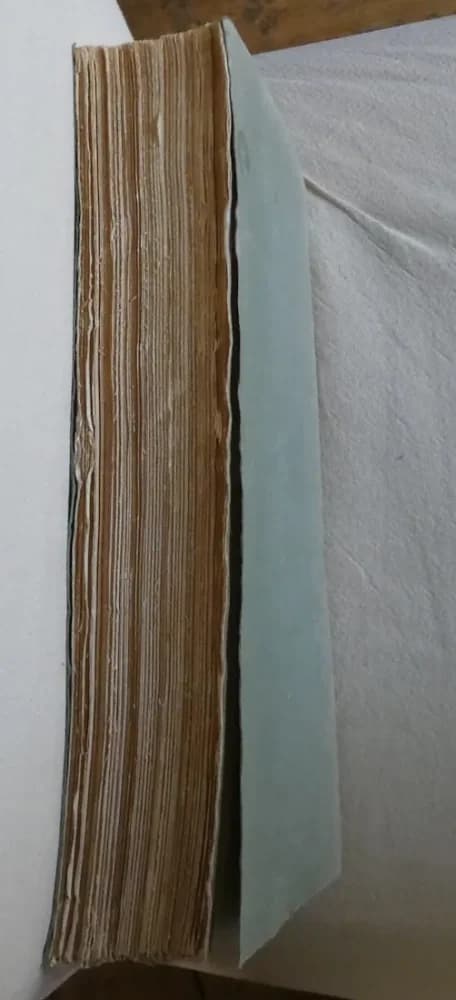 Petra et la Nabatène. Texte - Image 9