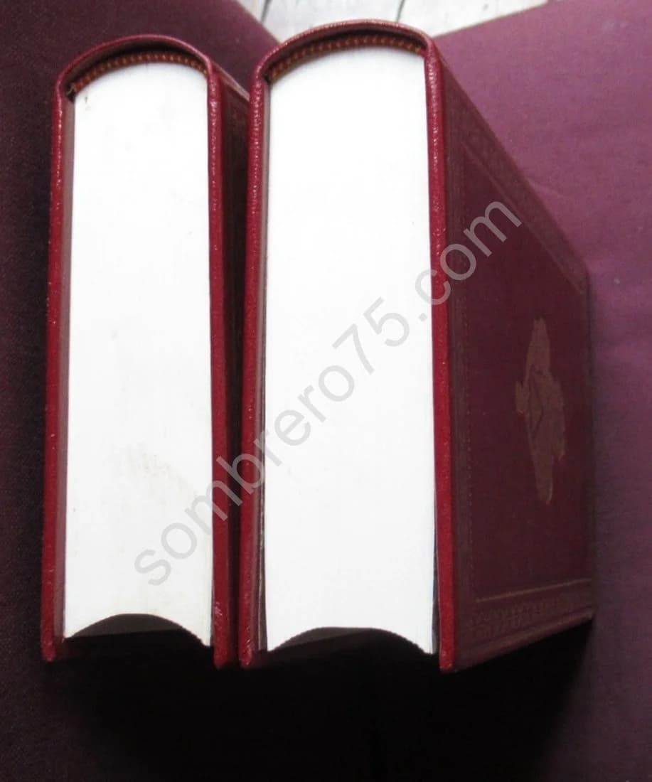 Les Indiscrétions d'un Préfet de Police de Napoléon - 2 Tomes - Préface de Jean TULARD - Image 7