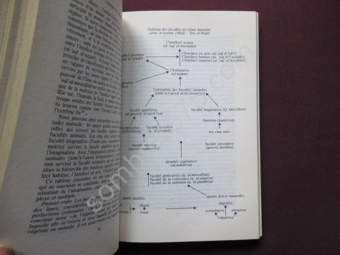 La Logique des Orientaux. Henry Corbin et la science des formes. CH JAMBET - Image 5