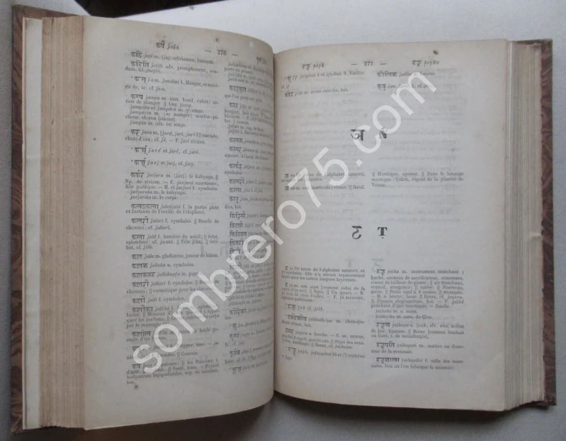 Dictionnaire Classique Sanscrit - Français - Image 3