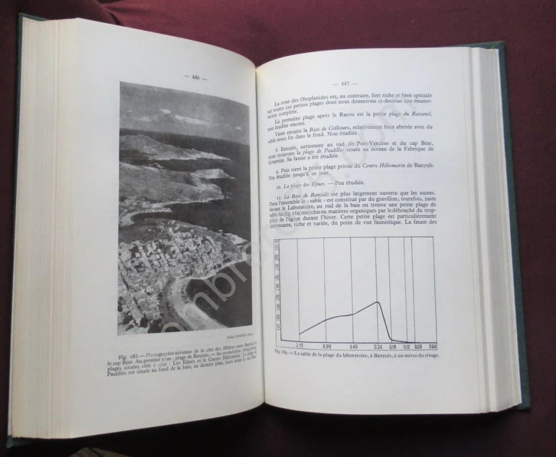 Biologie des Eaux Souterraines Littorales et Continentales. Cl DELAMARE DEBOUTTEVILLE - Image 4