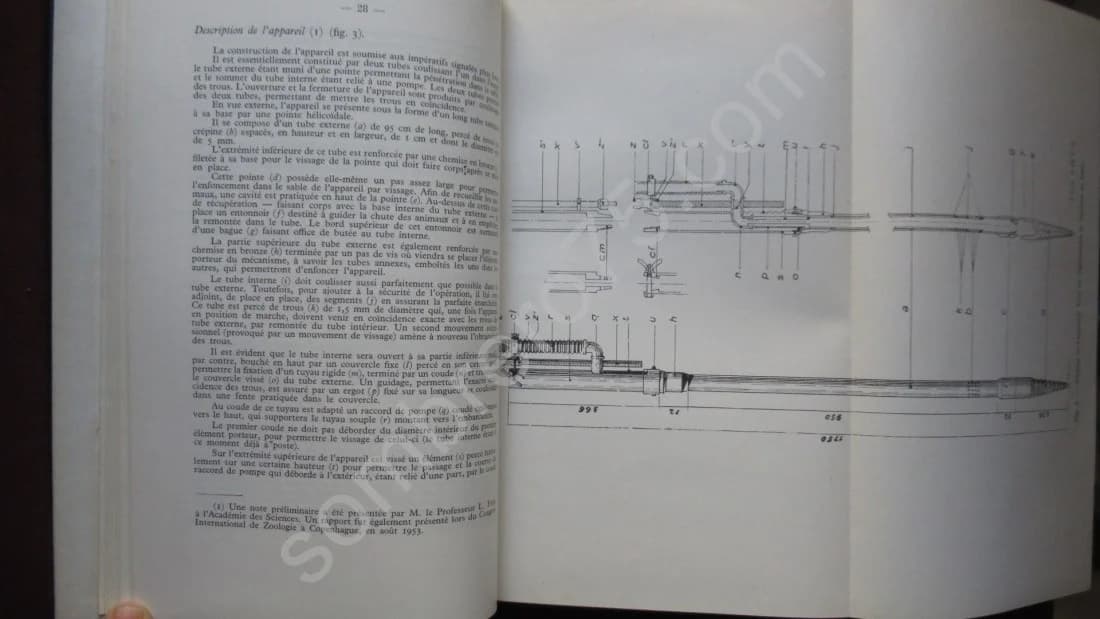 Biologie des Eaux Souterraines Littorales et Continentales. Cl DELAMARE DEBOUTTEVILLE - Image 5