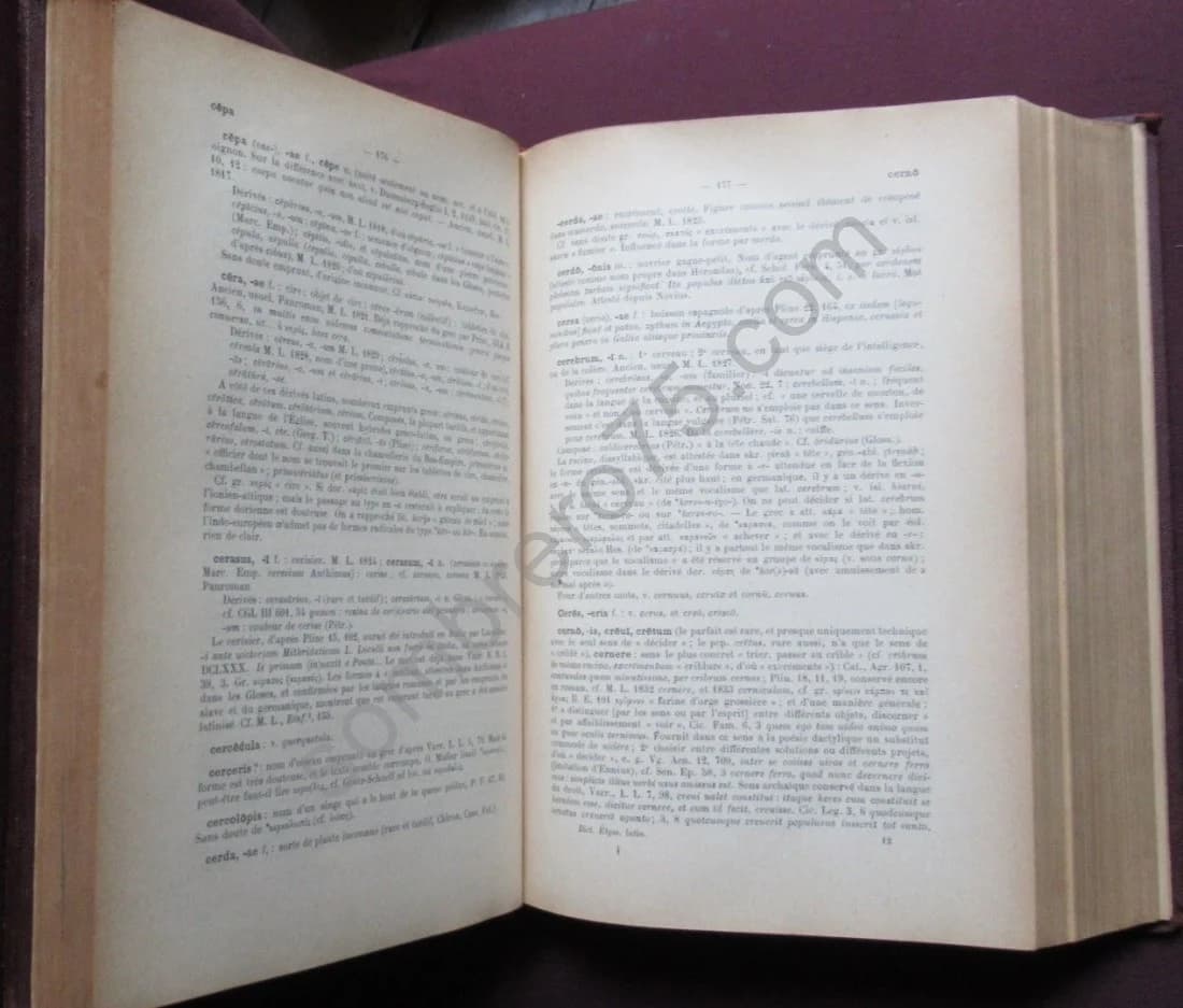 Dictionnaire Etymologique de la Langue Latine. Histoire des mots - Image 4