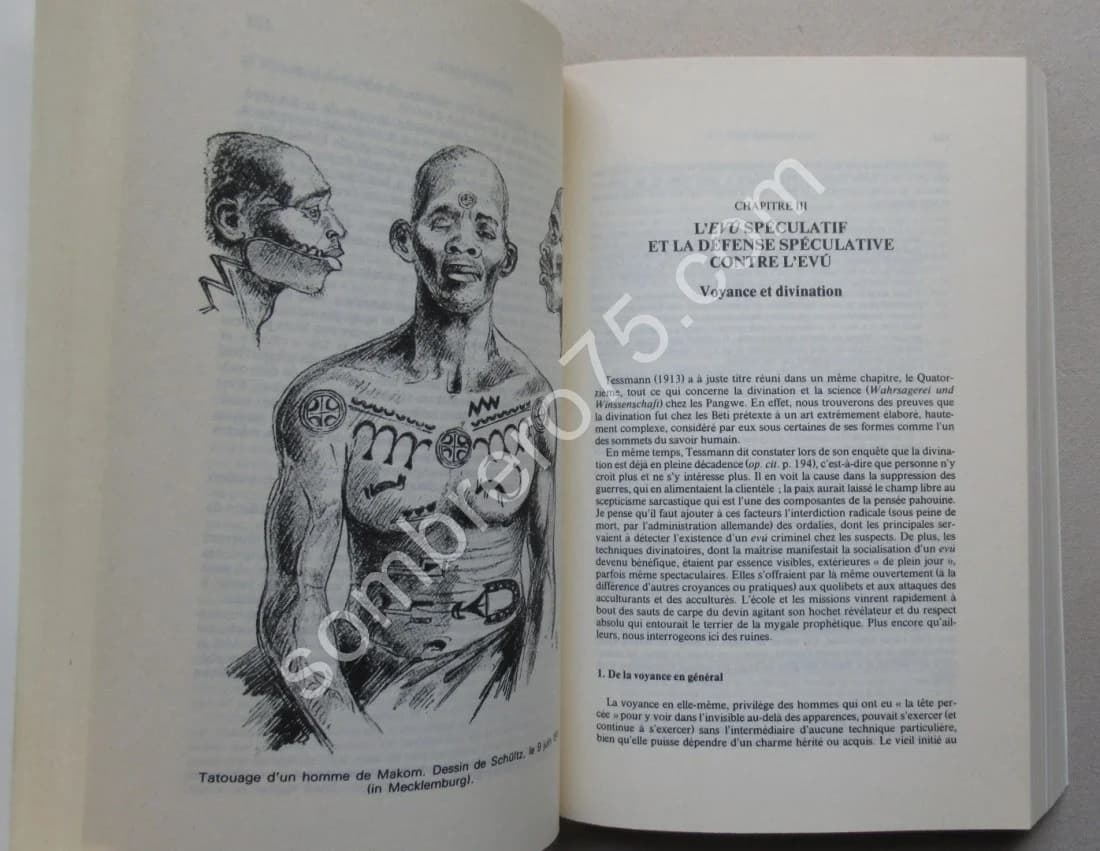 Initiations et Sociétés Secrètes au Cameroun. Essai sur la religion beti. Laburthe Tolra - Image 4