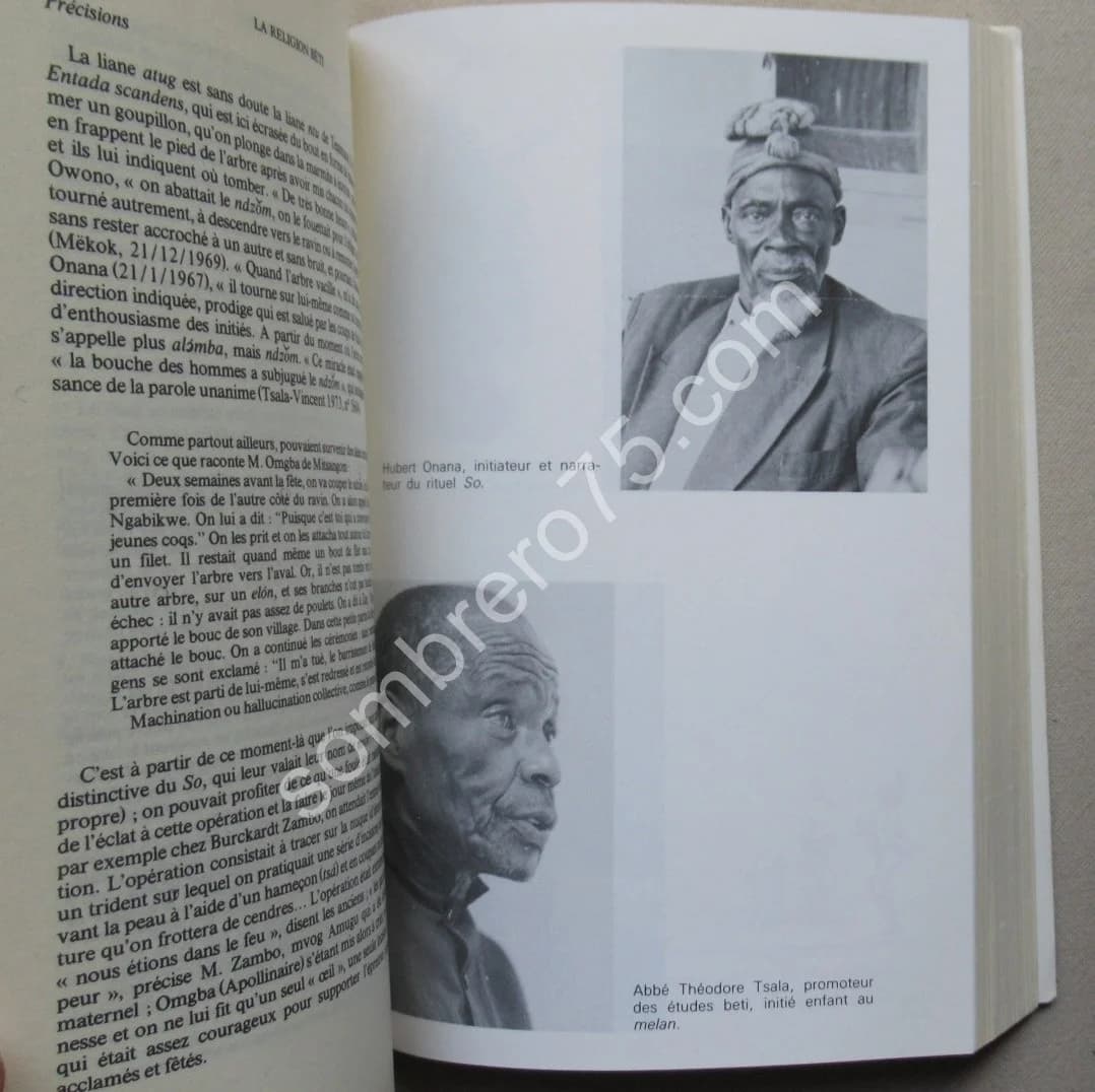 Initiations et Sociétés Secrètes au Cameroun. Essai sur la religion beti. Laburthe Tolra - Image 5